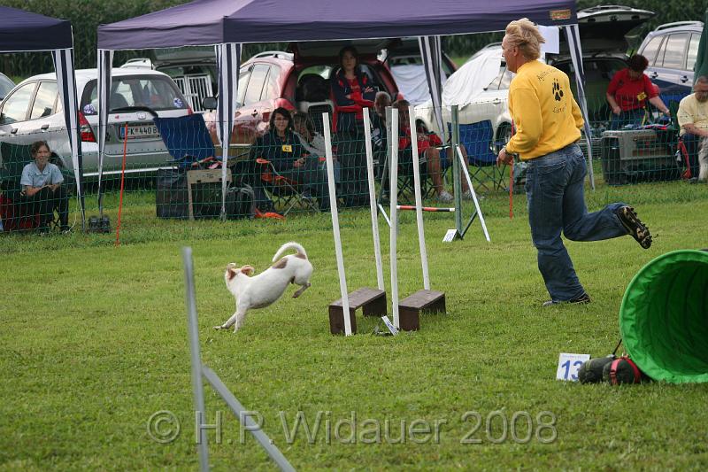 jubil.lusten. 062.jpg